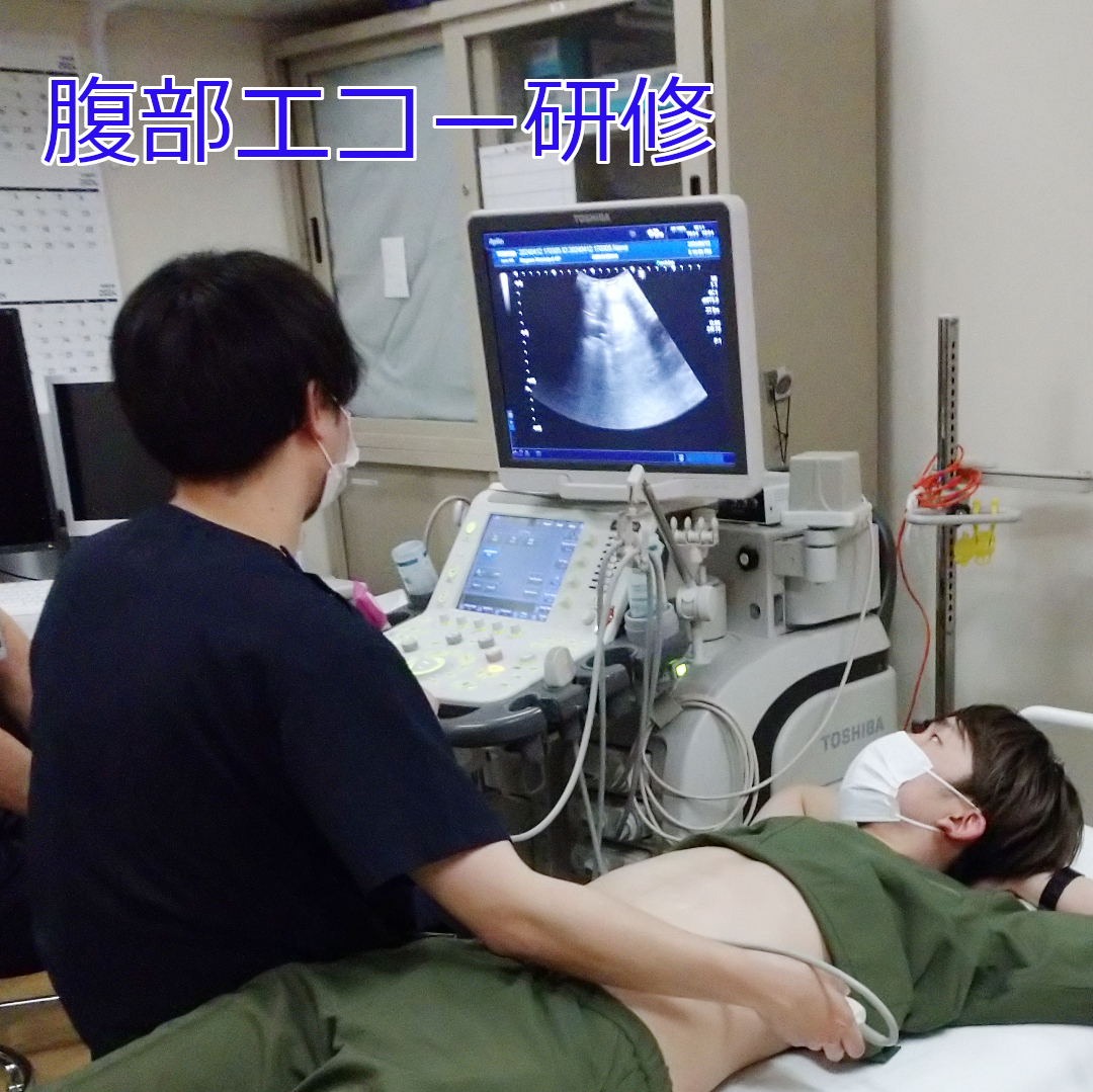 腹部エコー研修の様子1