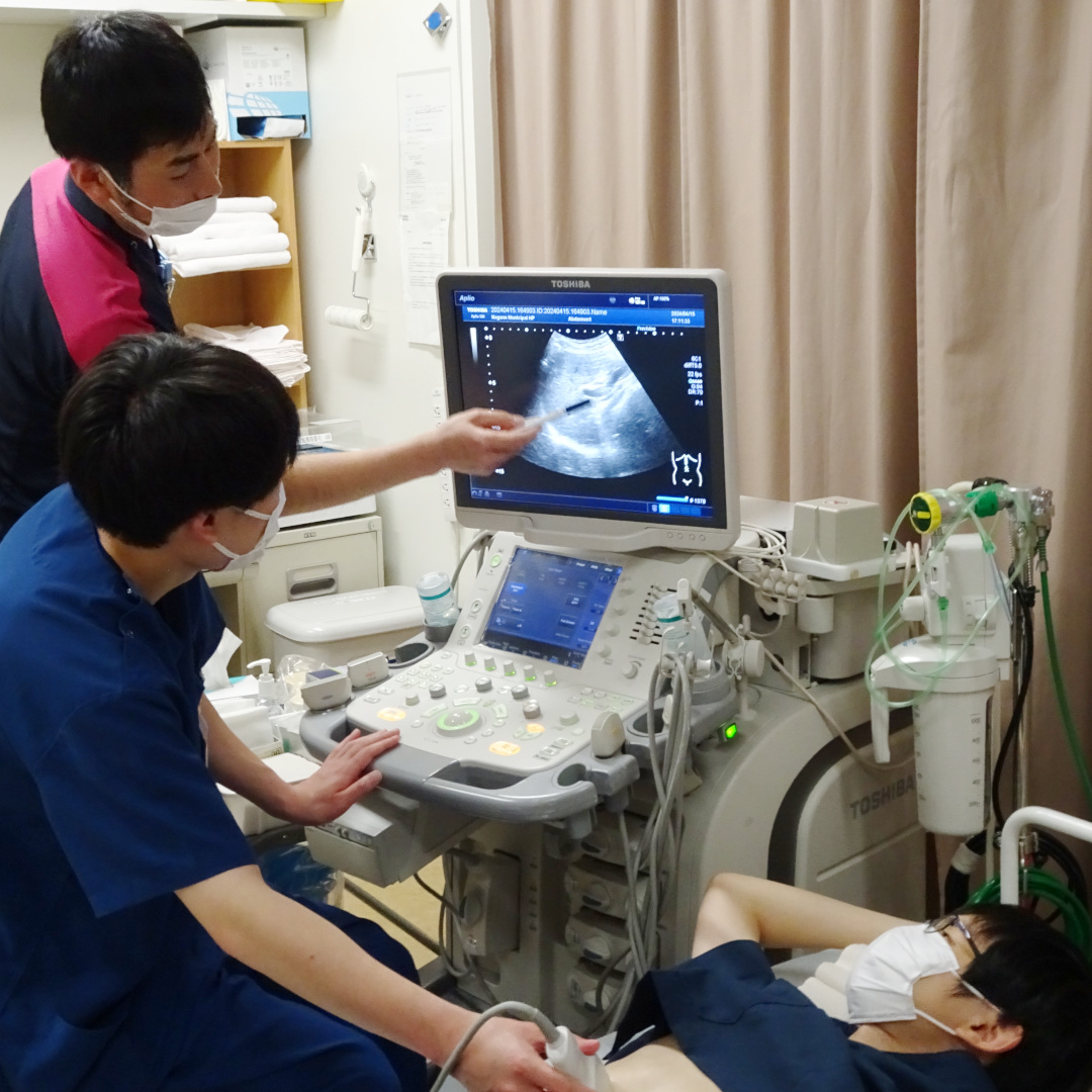 腹部エコー研修の様子2