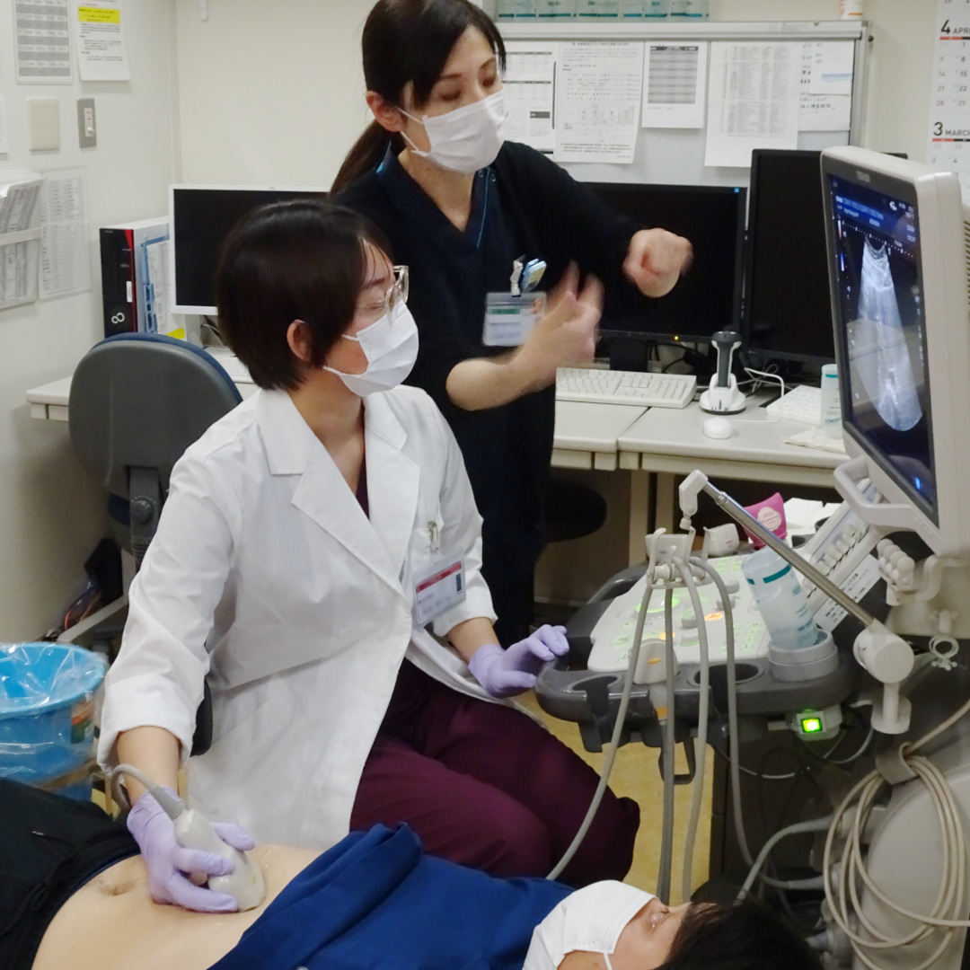 腹部エコー研修の様子3