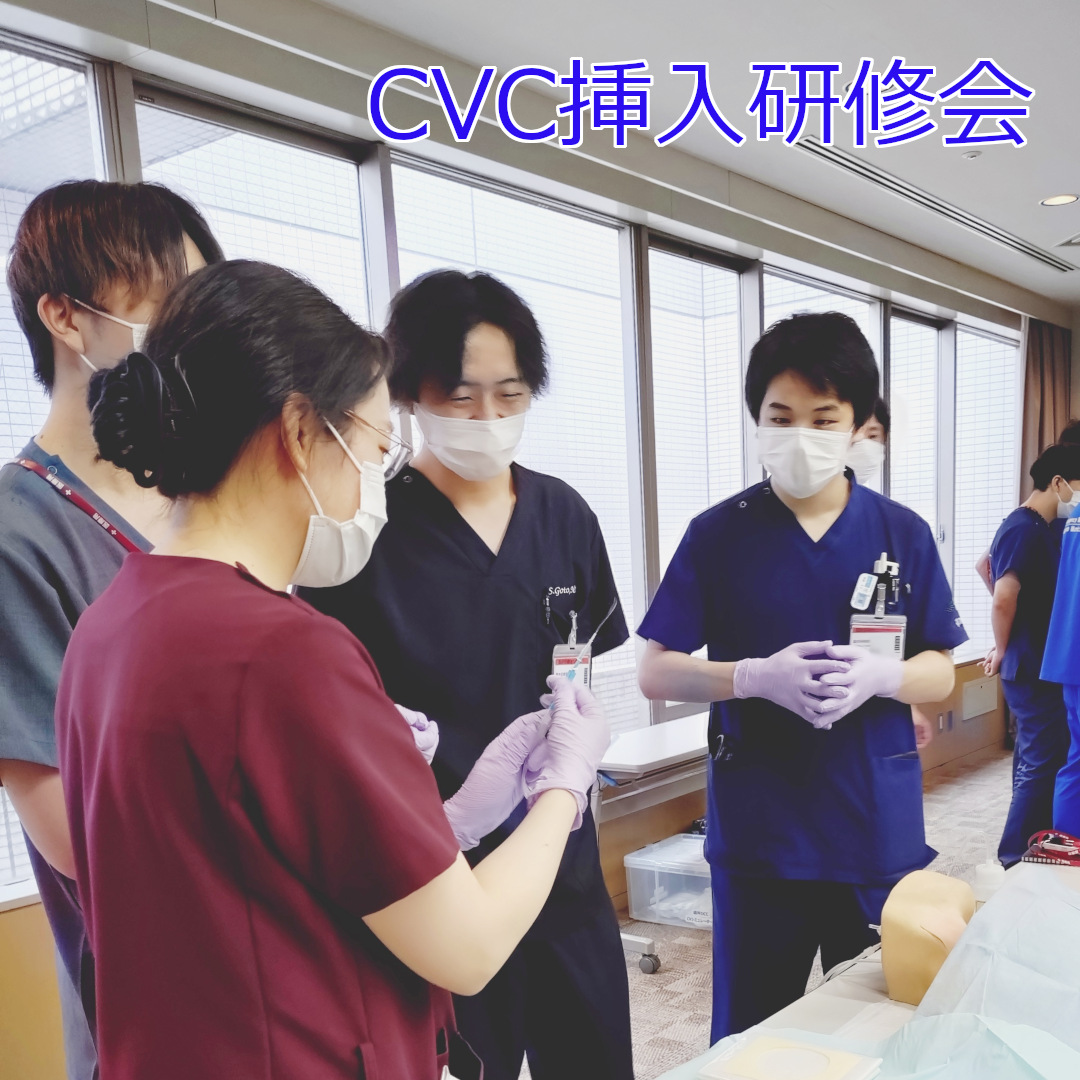 cvc挿入研修の様子1