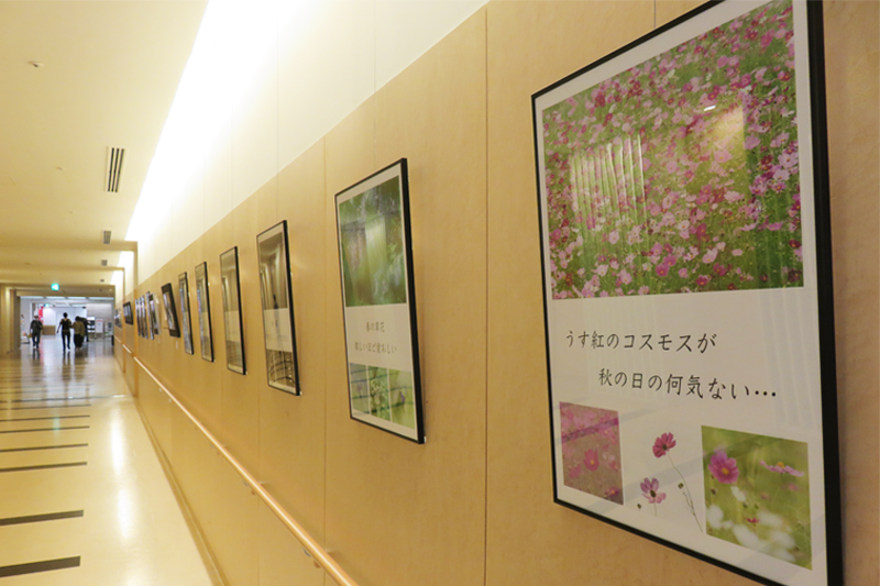 北堀写真クラブ写真展の様子2