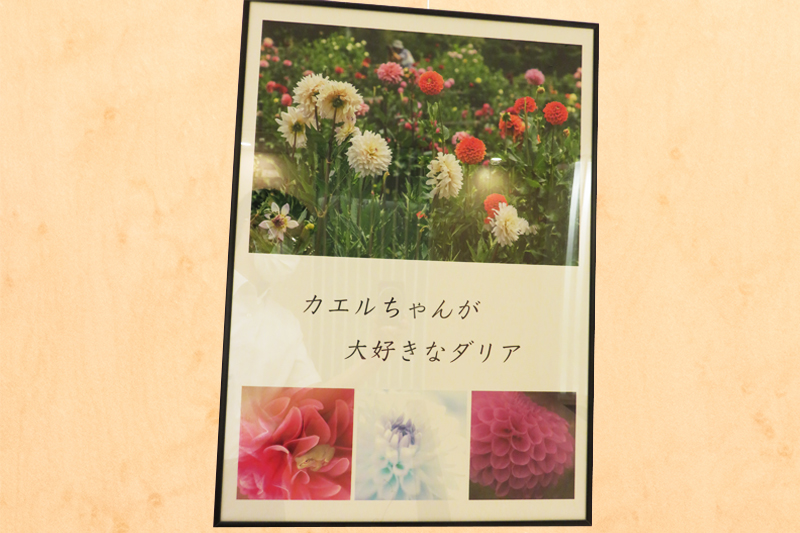 北堀写真クラブ写真展の様子4