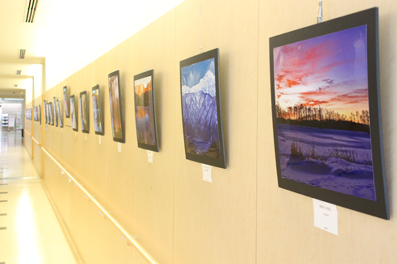 写真展の様子1