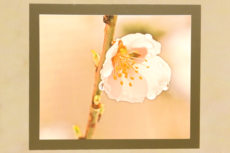 写真展の様子3