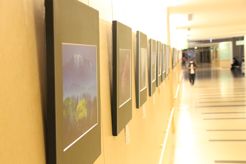 写真展の様子1