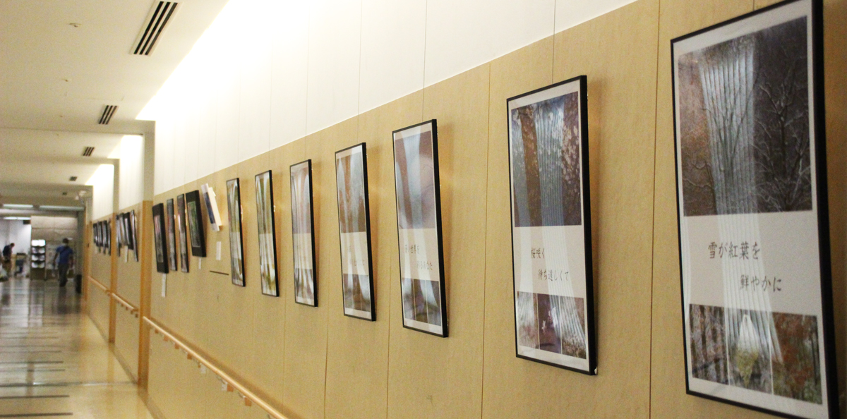 写真展の様子1