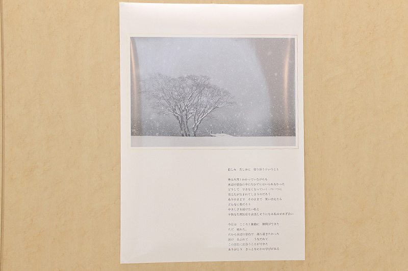 ギャラリー展の様子2