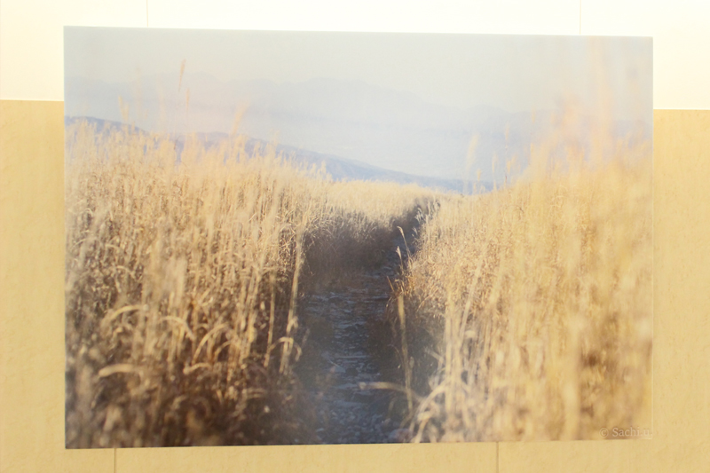 ギャラリー展の様子3