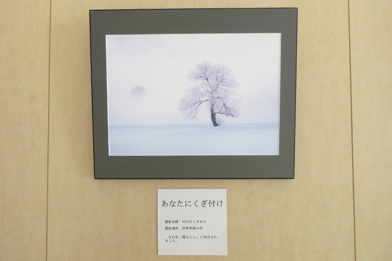 ギャラリー展の様子2