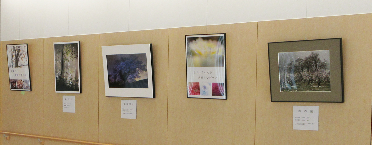 写真展の様子3