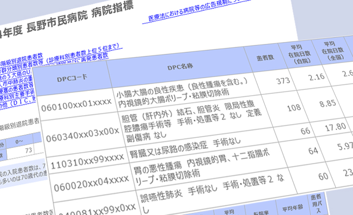 病院指標（DPC指標）へのリンクボタン