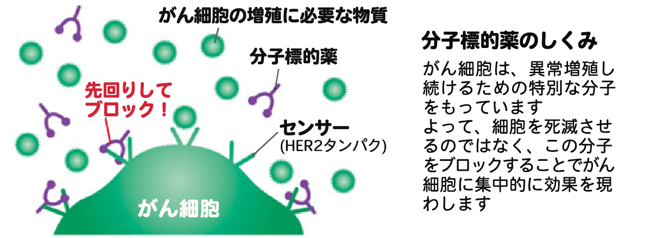分子標的薬のしくみ