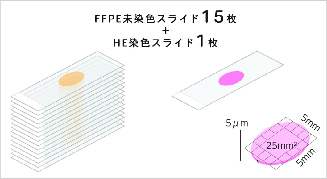 未染色スライド作製イメージ図