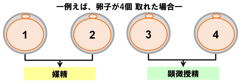 スプリット法のグループ分け図