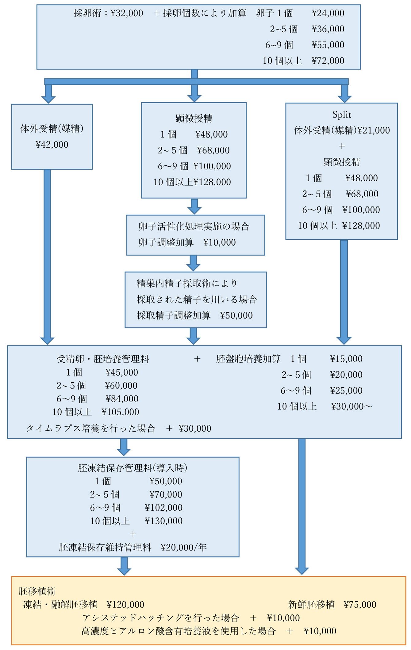 治療の流れと料金（自費診療）