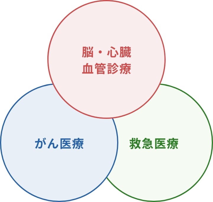 当院の重点医療の3領域図