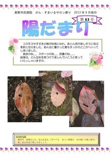 がん・すまいるサロン便り　陽だまり 13号