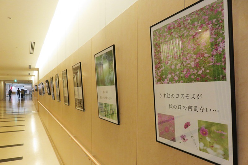 北堀写真クラブ 写真展：ギャラリー展［9月］