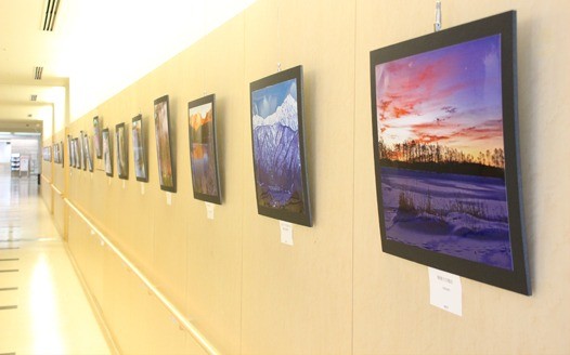 本藤 智 写真展：ギャラリー展［11月］