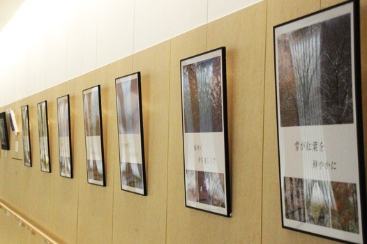 島根八重子 写真展「季節の色ファンタジー」：ギャラリー展［9月］