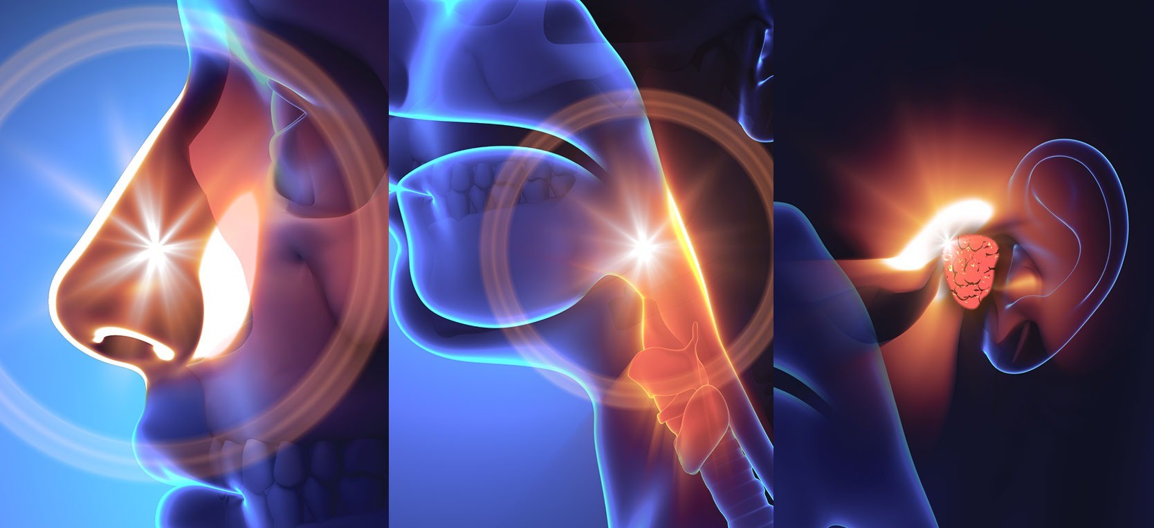 耳鼻いんこう科