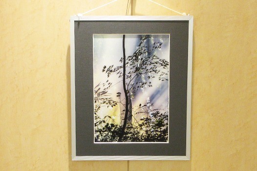 島根八重子 写真展「季節の色ファンタジー」：ギャラリー展［8-9月］